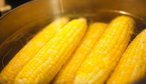 Як і скільки варити кукурудзу: молоду, в качанах