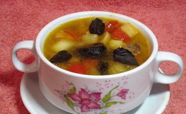 Суп з гуски (з рисом, локшиною): час приготування: рецепти