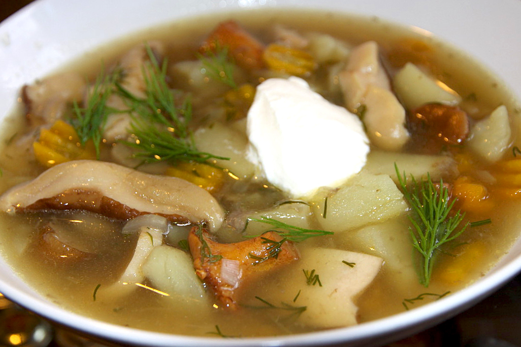 Суп з опеньками (свіжими, замороженими, сушеними): рецепти