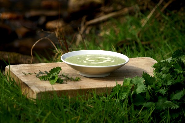 Суп з кропиви: прості рецепти з покроковими фото
