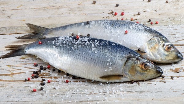Співвідношення солі та цукру для засолювання риби: від чого залежить?
